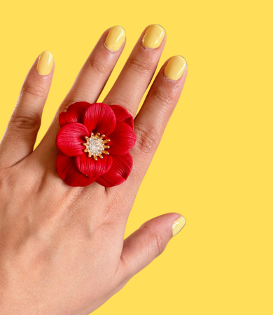 Anillos